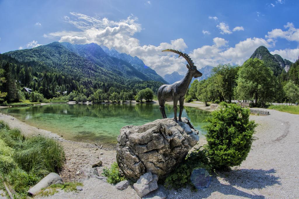 A Million Dollar View Kranjska Gora Exterior foto